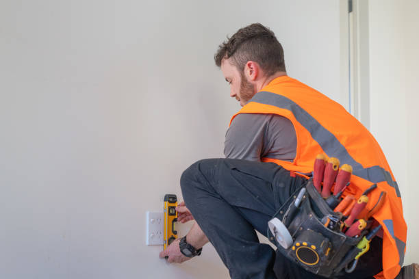 Best Generator Installation Services  in Farmer City, IL