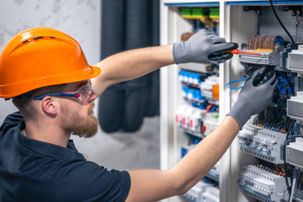 Best Home Electrical Repair  in Farmer City, IL